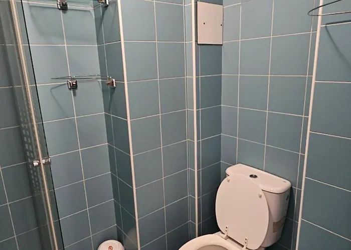 كالار يوجين كارادا ستريت بوخارست